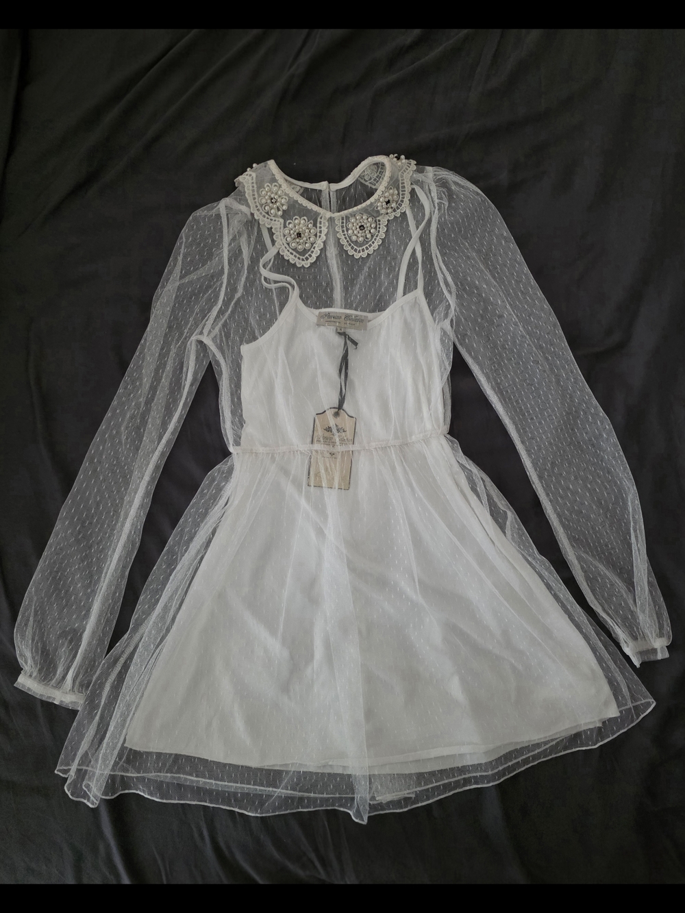 Parisian Collection White Sheer Dot Mesh Dress with Embellished Collar